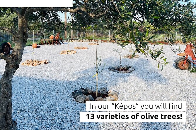 Pallada Semi-Private Olive Oil Tours in Sternes, Chania
