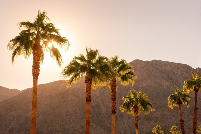 Palm Springs and Joshua Tree Self-Guided Driving Audio Tours