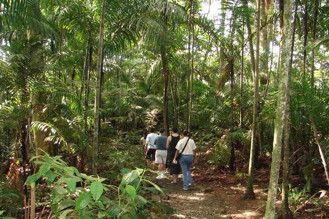 Panama City Metropolitan Park Trail Tour