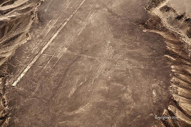 Paracas Shore Excursion: Nazca Lines Tour