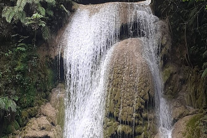 Parada Maria Y Miguel and the Limón Waterfall Tour From Samana