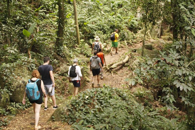 Paraty Rainforest Trek and Secluded Sono Beach Tour