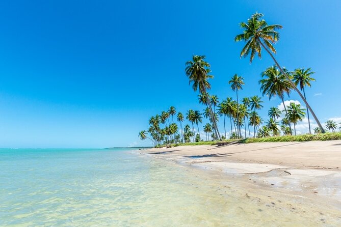 Patacho Beach Tour From Maceió