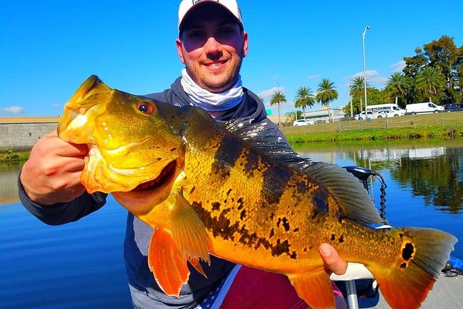 Peacock Bass Fishing Trip in Boynton Beach