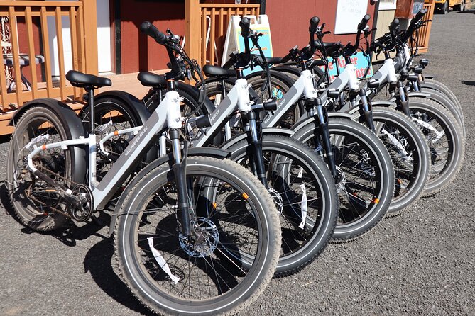 Pedal and Paddle Wine Tour in Arizona - Tour Overview