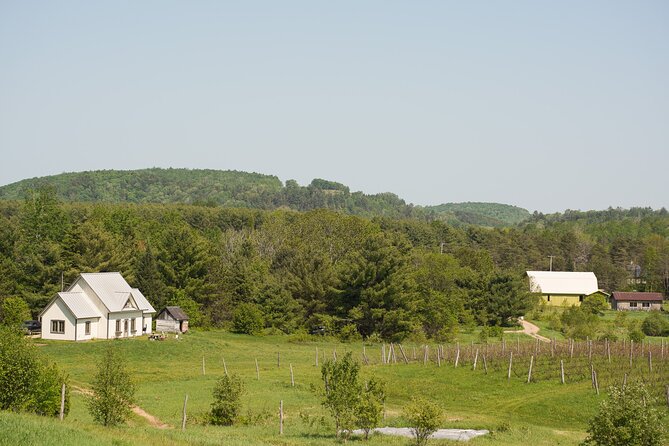 Petite Nation Wine & Cider Tour – Day Trip From Ottawa & Gatineau