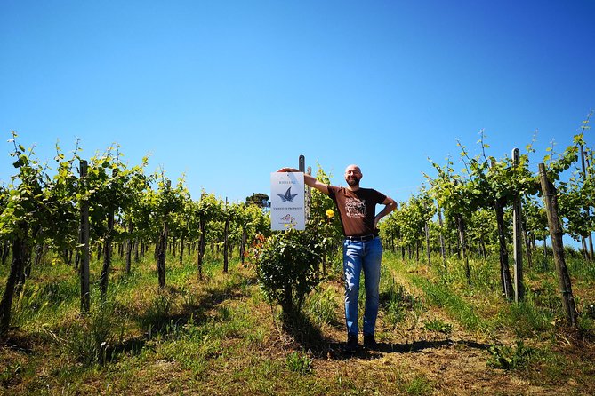 Picnic, Visit and Tasting