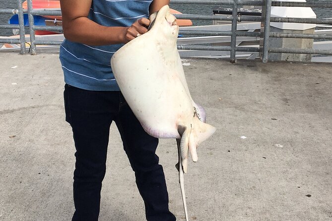 Pier Fishing Tour – San Diego Review