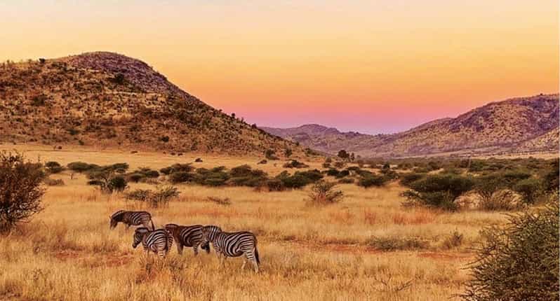 25 Best National Park Tours In Johannesburg