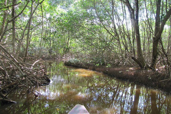 Plantaadje' Wetland Bicycle Tour - Tour Overview