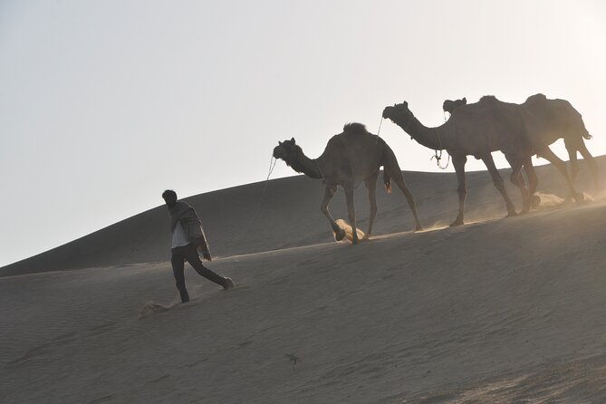 Pleasant Non-Touristic Sun Rise Tours With Breakfast on Dunes