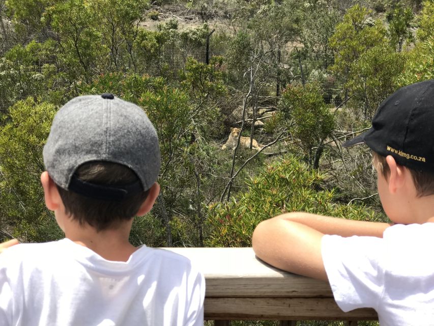 Plettenberg Bay: EcoKidz Family Challenge Wildlife Tour