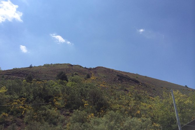 Pompeii-Herculaneum-Vesuvius Tour From Sorrento With Licensed Guide Included