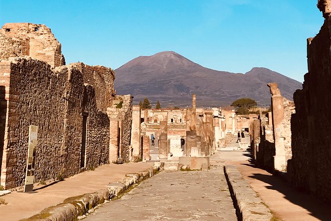 Pompeii Tour With Ticket INCLUDED and Expert Guide