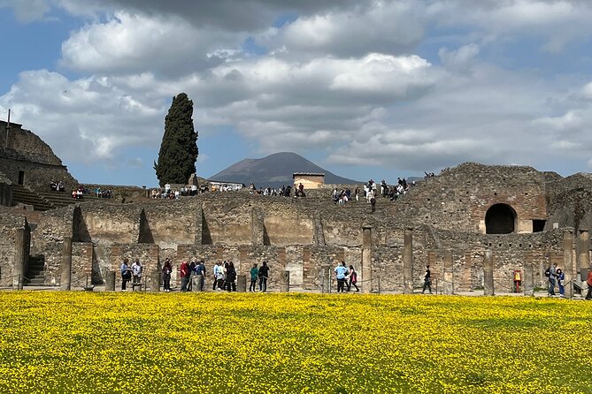 Pompeii Walking Tour (2hrs)