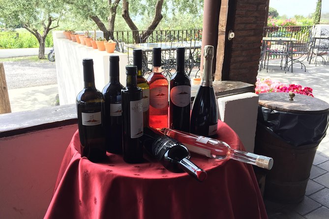 Pompeii-Wine Tasting Tour From Sorrento, Licensed Guide Included
