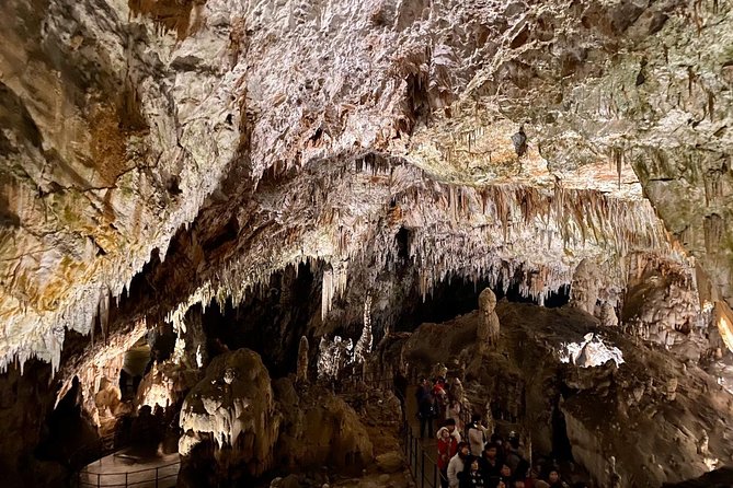 Postojna Cave Day Trip From Ljubljana