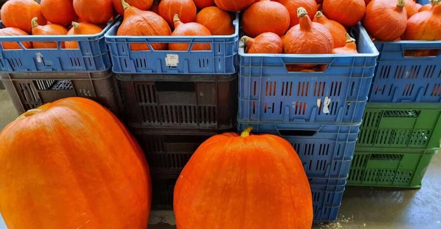 Prague: Famous Markets of Prague Tour