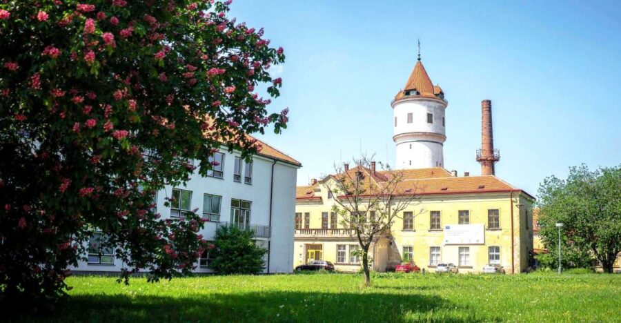Prague: Psychiatric Hospital and Abandoned Cemetery Tour - Tour Overview