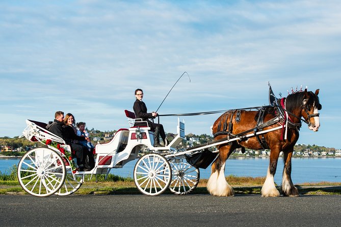 Premier Horse-Drawn Carriage Experience in Victoria - Meeting Point and Tour Details