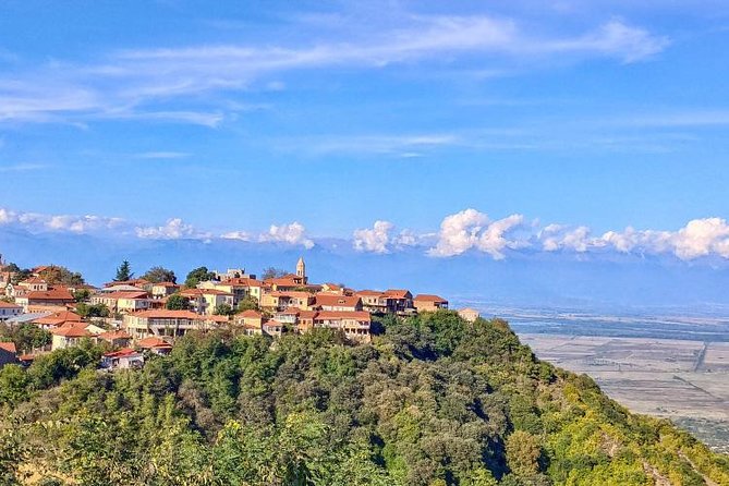Premium & Organic Wine Tour in Kakheti
