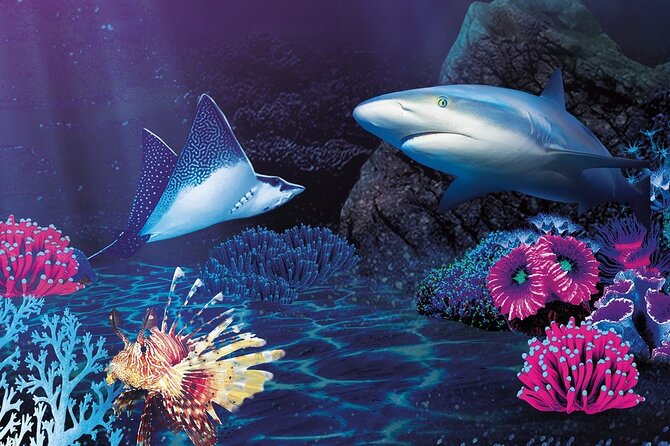 Premium Ticket Sea Life Benalmádena