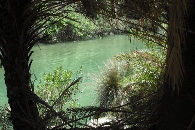 Preveli Palm Beach Tour From Rethymno – by Private Boat