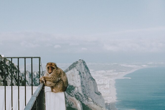 Private 10-Hours Tour of Gibraltar From Cadiz
