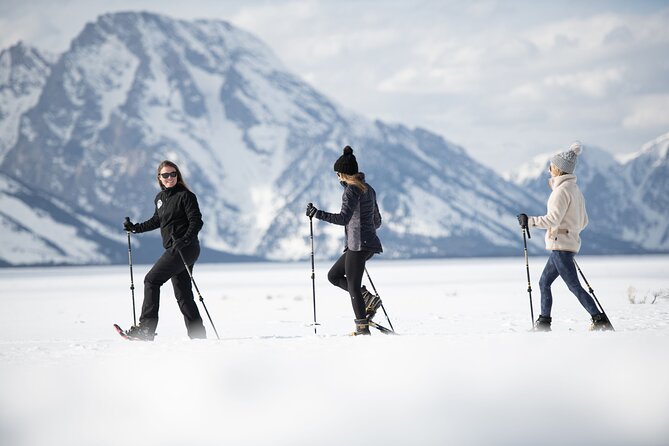 Private 4 Hour Snowshoe in Grand Teton National Park