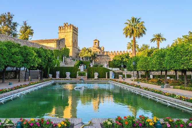 Private 9-Hour Tour to Cordoba From Granada With Hotel Pick up & Drop off