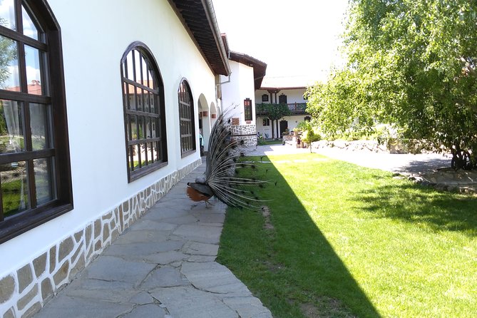 Private Ancient History Spa and Wine From Sofia - Tour Overview