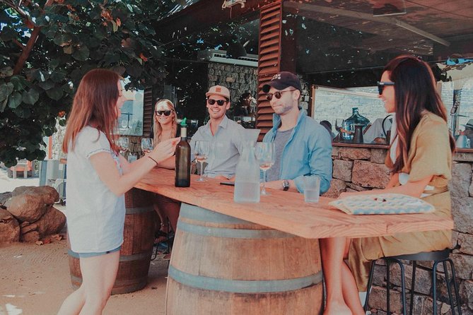 Private and Custom Group Wine Tour Valle De Guadalupe - Inclusions and Logistics