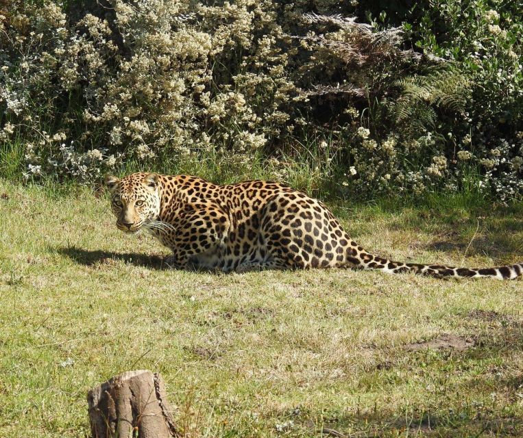 Private Animal Adventure Tour – Full Day