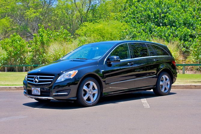 Private Arrival Transfer: Honolulu International Airport to Oahu Hotels or Cruise Terminal - Overview of Private Transfer Service