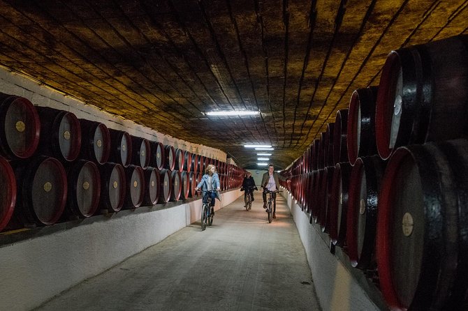 Private Bike Tour to Cricova Winery With Wine Tasting and Lunch - Tour Overview