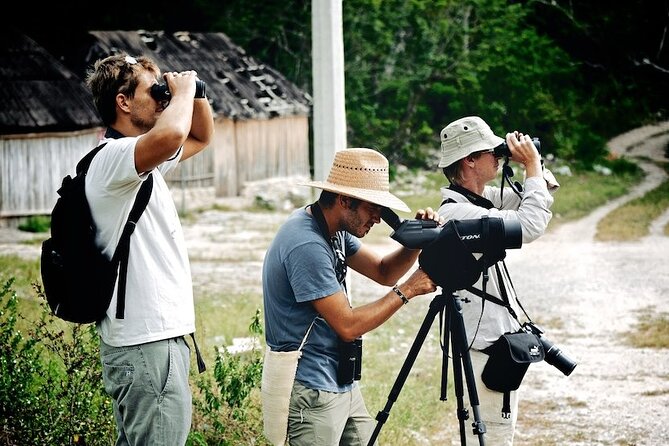 Private Birdwatching Tour in Sian Kaan Muyil