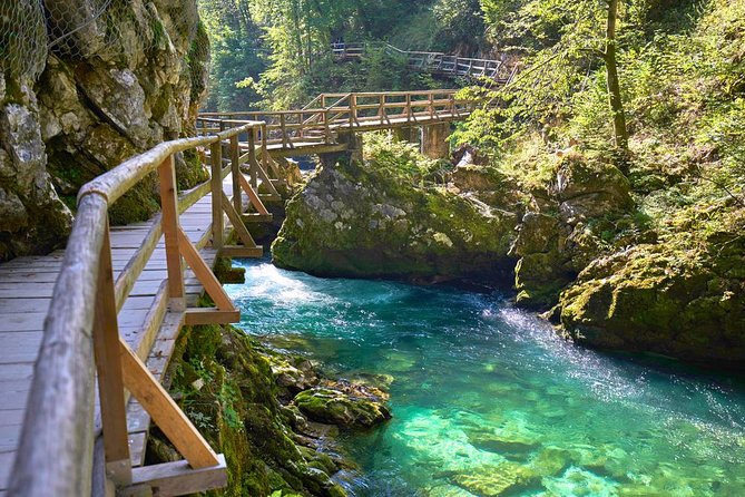 Private Bohinj & Vogel Tour From Bled
