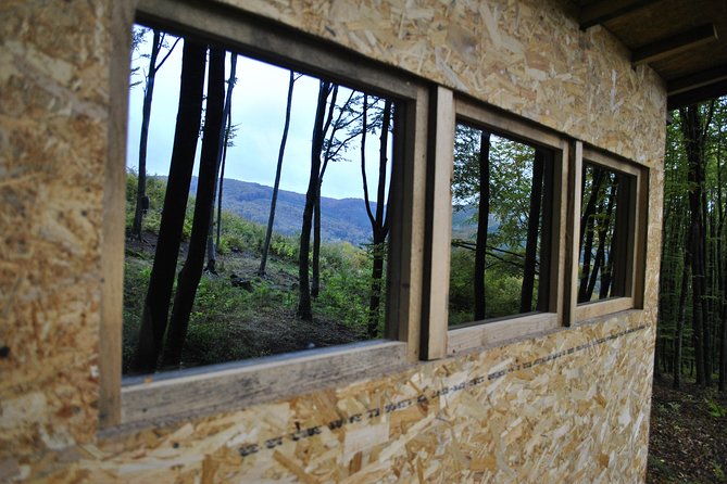 Private Brown Bear Watching Tour From Praid