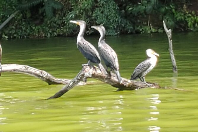 Private Canoe or Hike Tour on Lake Duluti
