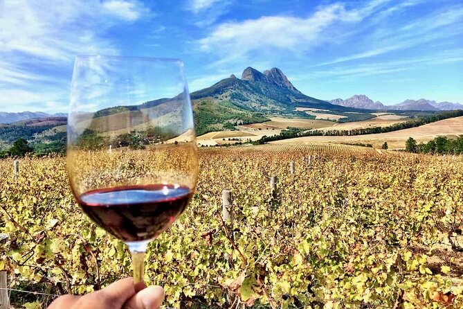Private Cape Town City Tour Table Mountain With Wine Tasting