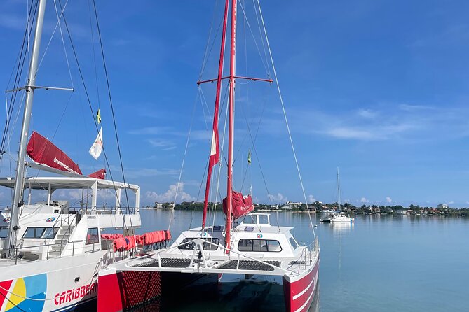 Private Catamaran and Sunset Cruise to Ricks Cafe From Negril - Tour Overview