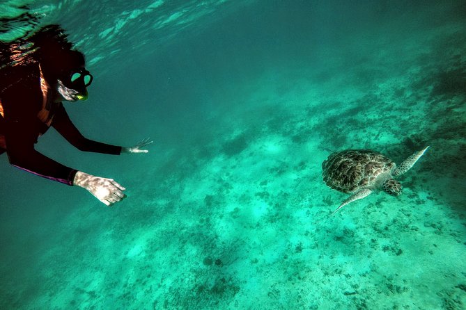 Private Cenote & Snorkeling Tour With Turtles in Akumal