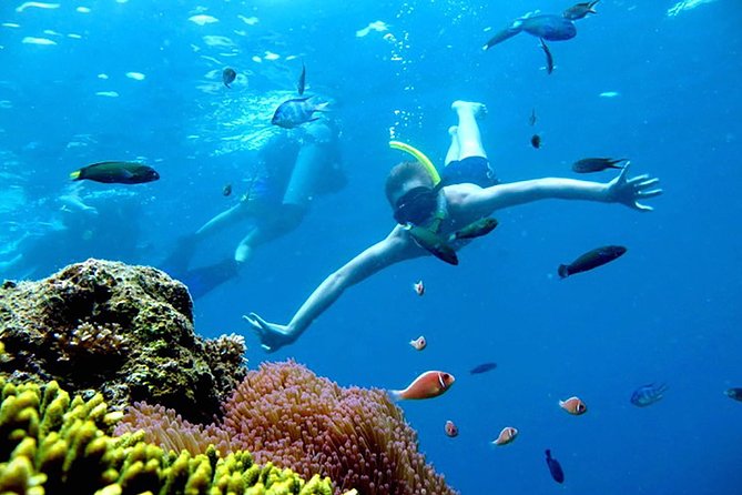 Private Charter Boat to Angthong Marine Park - Customizable Itinerary Options