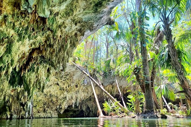 Private Cozumel Jeep Tour & Jade Caverns Cenote: All-Inclusive