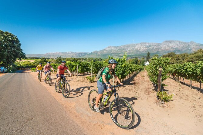 Private Cycling Tour of Constantia Winelands