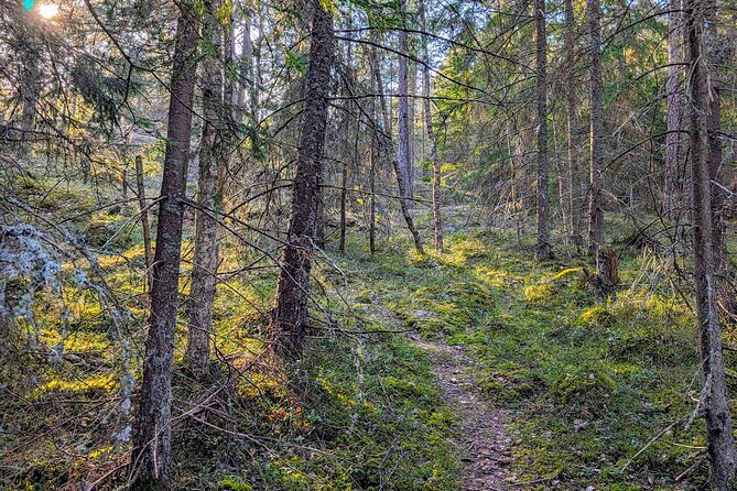 Private Day Road Trip From Helsinki: Raseborg, Fagervik, Porkkala