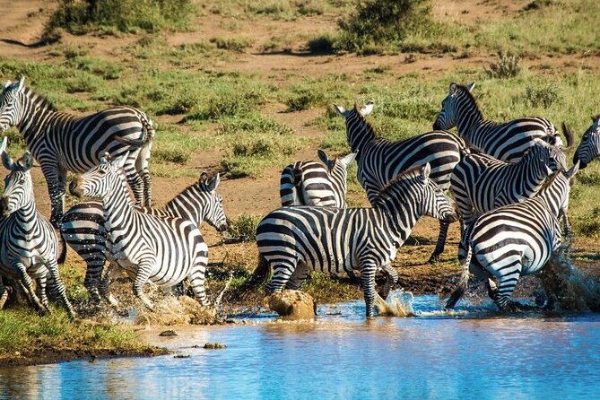 Private Day Tour Amboseli National Park
