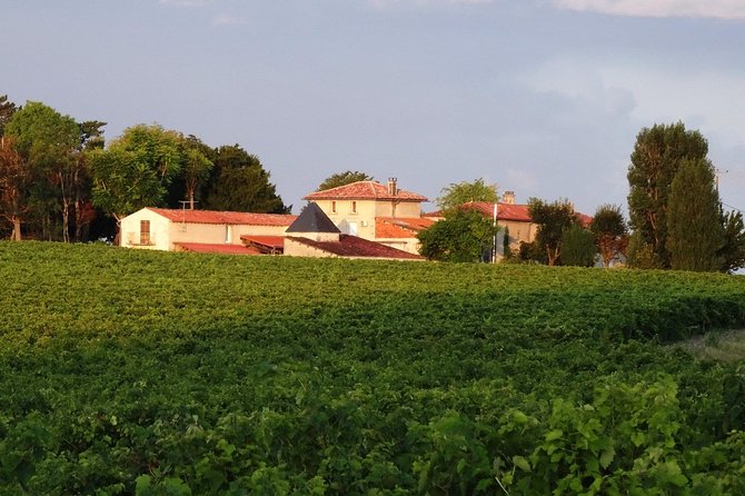 Private Day-Tour From Angouleme: Facets of Cognac : Vine to Glass