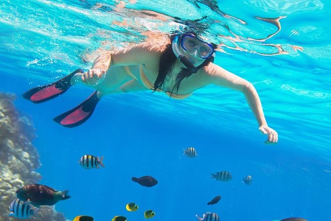 Private Day Tour From Luxor to Red Sea