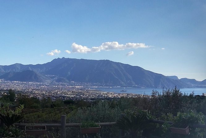 Private Day Tour: Herculaneum and Wine Tasting - Tour Overview